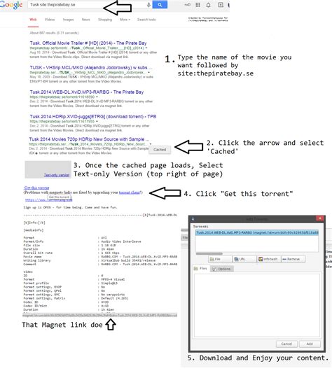 Fake Sites Are Already Cashing In on the Pirate Bay's Demise.